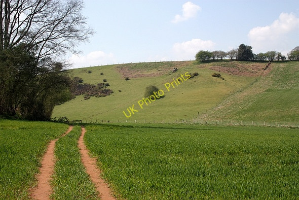 Photo 6"x4" Footpath near Cobhill Rough Murrell's End\/SO7430 c2010