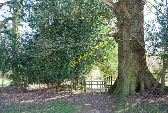 Photo 6"x4" Broken stile, High Weald Landscape Trail Broad Ford c2010