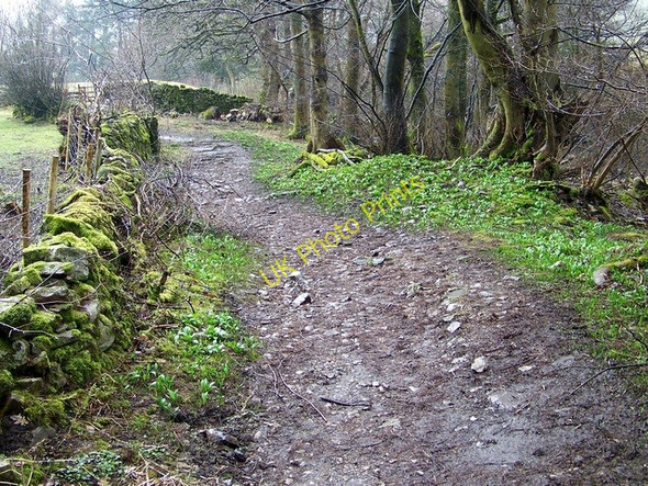 Photo 6"x4" Footpath near Dent Dent\/SD7086 c2010