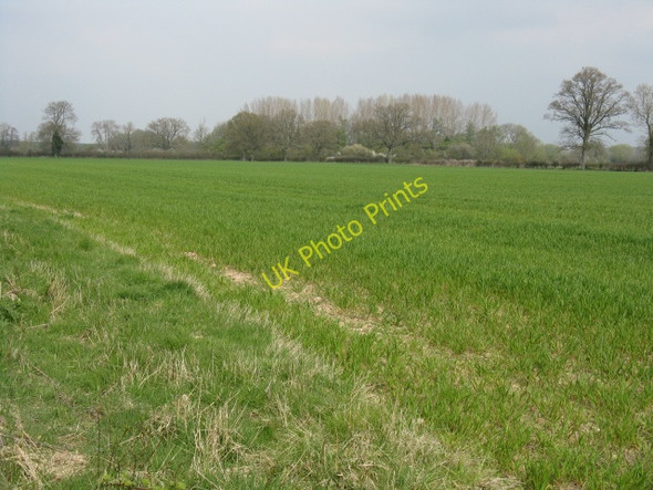 Photo 6"x4" Field north of Moor Brook Monkland\/SO4557 c2010