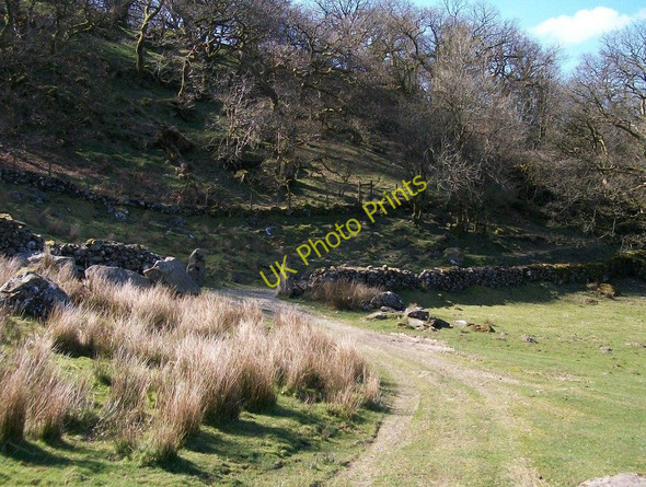 Photo 6"x4" Track junction east of Gesail Gyfarch farmhouse Penmorfa\/SH5440 c2010