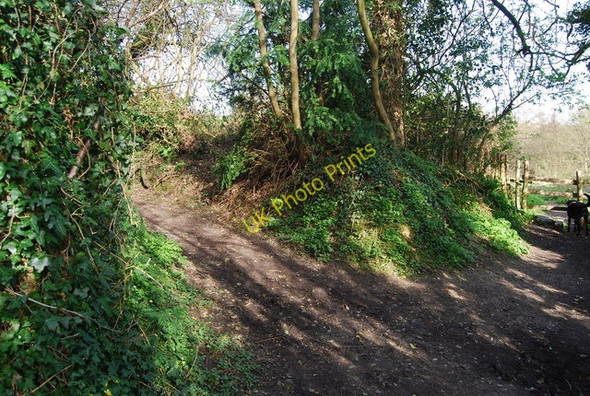 Photo 6"x4" Footpath junction outside Brenchley Palmer's Green c2010