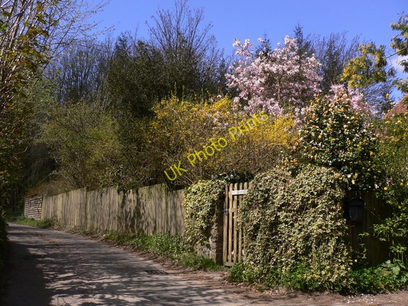 Photo 6"x4" Highstead Lane on Bexleyhill Bexleyhill c2010