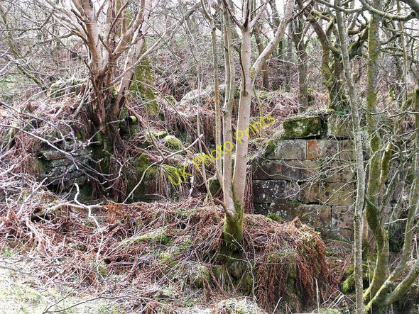 Photo 6"x4" Flax Mill on the Luggie Cumbernauld c2010