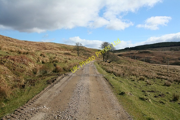 Photo 6"x4" Ballochroy Glen Ballochroy Burn c2008