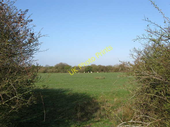 Photo 6"x4" Drove Marsh Mill Hill\/TQ6205 c2010