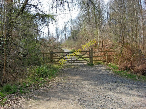 Photo 6"x4" Gate and path in the Wyre Forest Bewdley\/SO7875 c2010