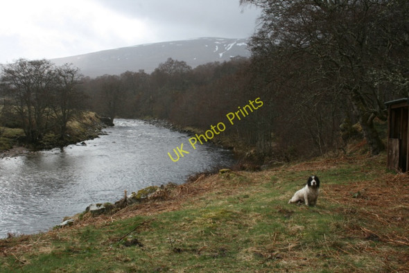 Photo 6"x4" An upstream view at Dalrachie Glenlivet c2010
