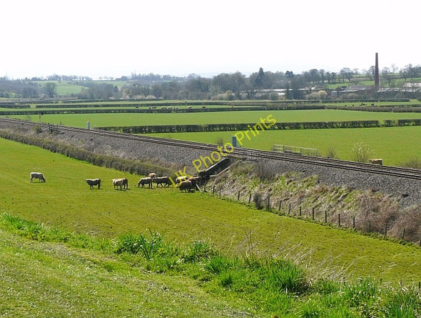 Photo 6"x4" Railway underpass for livestock Carlisle c2010