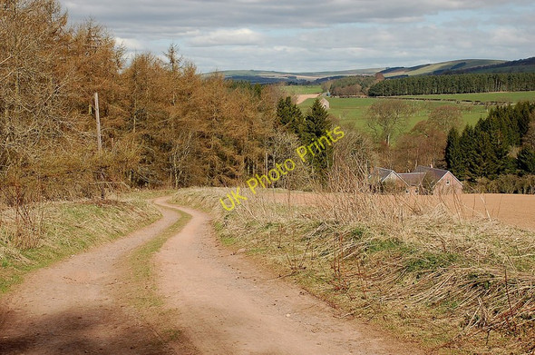 Photo 6"x4" On the Southern Upland Way east of Lauder Lauder c2010