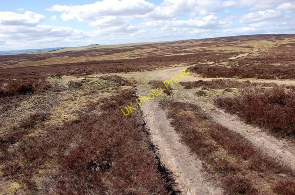 Photo 6"x4" Track junction, Edgarhope Law Addinston c2010