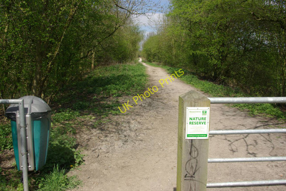 Photo 6"x4" Great Central Walk at Onley Lane Hillmorton c2010