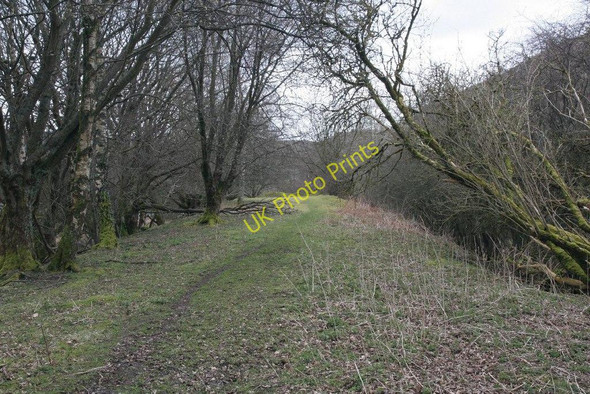 Photo 6"x4" Heading down the railbed Llanwrthwl c2010