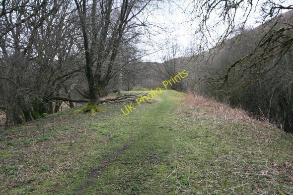 Photo 6"x4" End in sight Llanwrthwl c2010