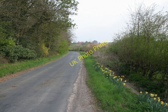 Photo 6"x4" Northgate Lane, Linton Wetherby c2010