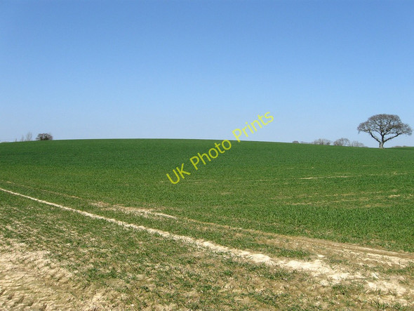 Photo 6"x4" Worg Field Hall's Close c2010