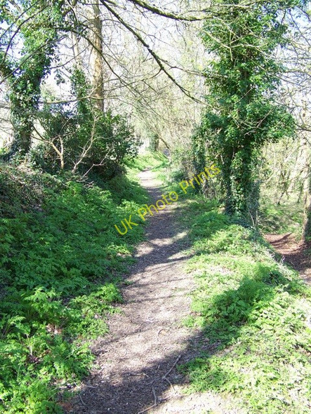 Photo 6"x4" Footpath, Ebbesbourne Wake Ebbesbourne Wake c2010
