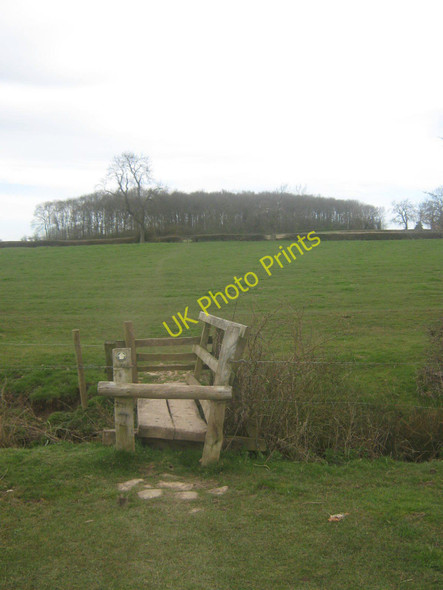 Photo 6"x4" Public footpath, Radbourne Common, Derbyshire Langley Common\/SK2937 c2010