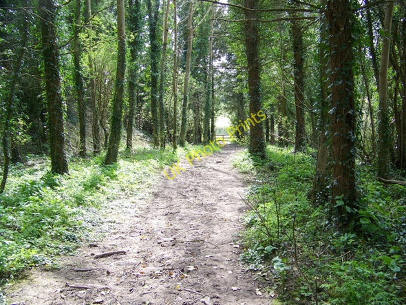 Photo 6"x4" Bridleway, Monkton Deverill Monkton Deverill c2010