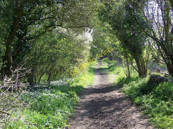 Photo 6"x4" Bridleway near Monxton Amport c2010 P1
