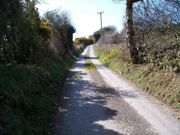 Photo 6"x4" The steeply ascending Braich-y-Saint lane Criccieth c2010