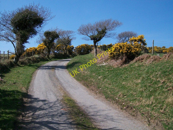 Photo 6"x4" Sharp bend in the Braich-y-Saint lane Criccieth c2010