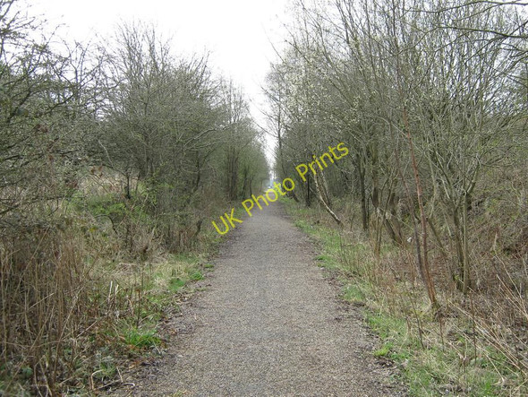 Photo 6"x4" Dismantled Railway near Marnock Marnock c2010