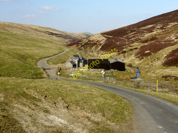 Photo 6"x4" Makendon, Upper Coquetdale Upper Hindhope c2010