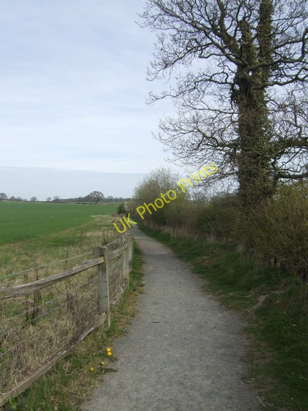 Photo 6"x4" Battle of Shrewsbury - 1403 Broadoak\/SJ4917 c2010
