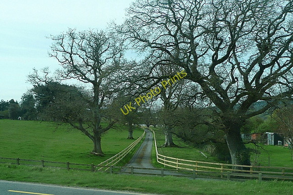 Photo 6"x4" Driveway to Glebe House Fiddown c2010