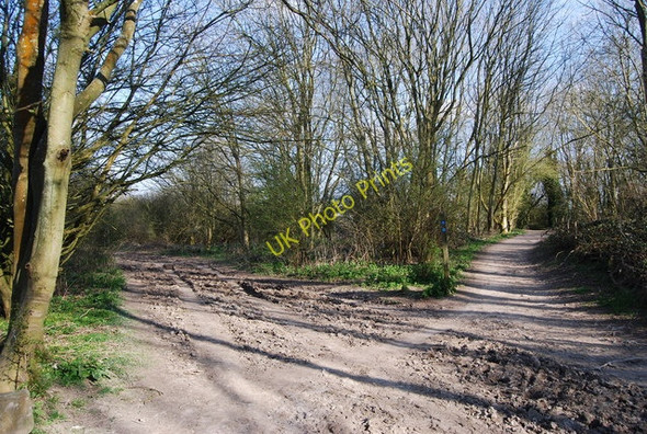 Photo 6"x4" Bridleway junction on The South Downs Way Jevington c2010