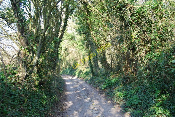 Photo 6"x4" Bridleway, Holt Bottom (3) Jevington c2010