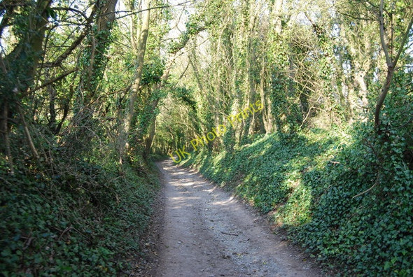 Photo 6"x4" Bridleway, Holt Bottom (4) Jevington c2010