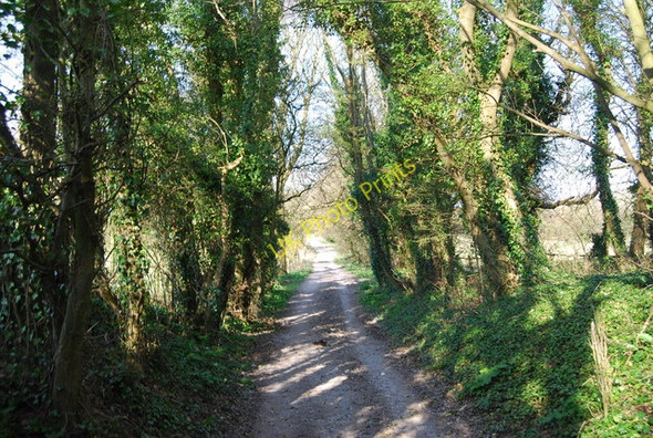 Photo 6"x4" Bridleway, Holt Bottom Folkington c2010