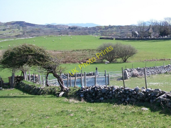 Photo 6"x4" Sheep fold and wind sculptured trees near St Cynhaearn's Church Criccieth c2010