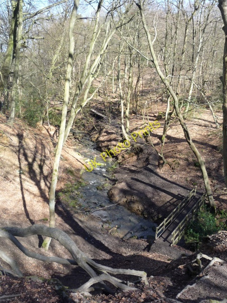 Photo 6"x4" Footbridge in Cardale Wood Harlow Carr c2010