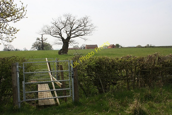 Photo 6"x4" Footbridge on the path to Newbarn Hardwick Green c2010