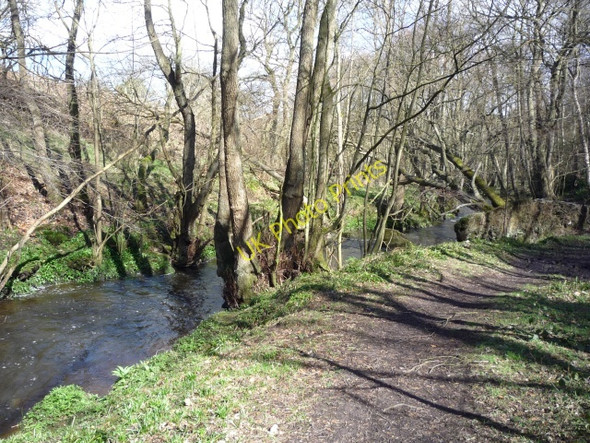 Photo 6"x4" Oak Beck in Birk Wood Harlow Carr c2010
