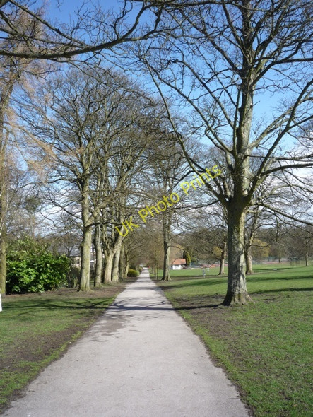 Photo 6"x4" Path in the Valley Gardens Harrogate c2010