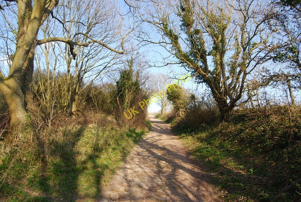 Photo 6"x4" The South Downs Way east of Jevington (2) Jevington c2010