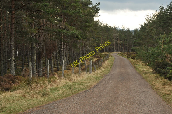 Photo 6"x4" Minor road near Loch Ashie Dores c2010