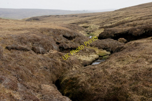 Photo 6"x4" South Burn of Dalsetter Colvister c2010