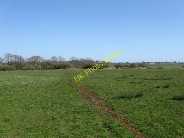 Photo 6"x4" Hither Stocks Marsh Wartling c2010