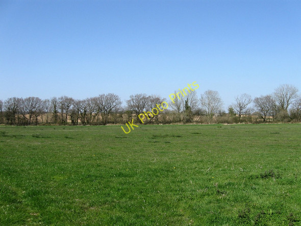 Photo 6"x4" Hither Stocks Marsh Wartling c2010