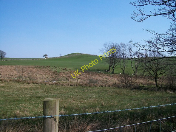 Photo 6"x4" Marsh and Knoll east of the Ymwlch road Golan c2010