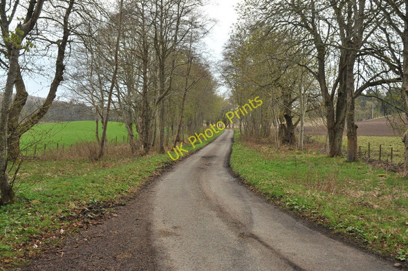 Photo 6"x4" Minor road near Kinchyle Dochgarroch c2010