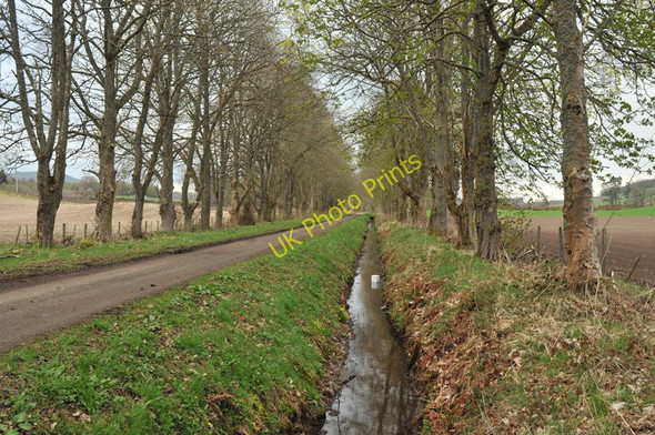 Photo 6"x4" Drainage ditch near Kinchyle Farm Dochgarroch c2010