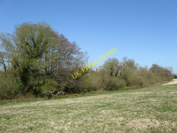 Photo 6"x4" Ladywell Shaw Wartling c2010