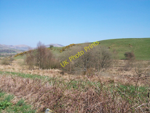Photo 6"x4" Valley wetland between the Ymwlch road and Bryn Hywel hill Golan c2010