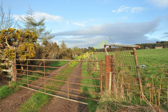 Photo 6"x4" Farm track to the abandoned building at Easthill Cantraywood c2010